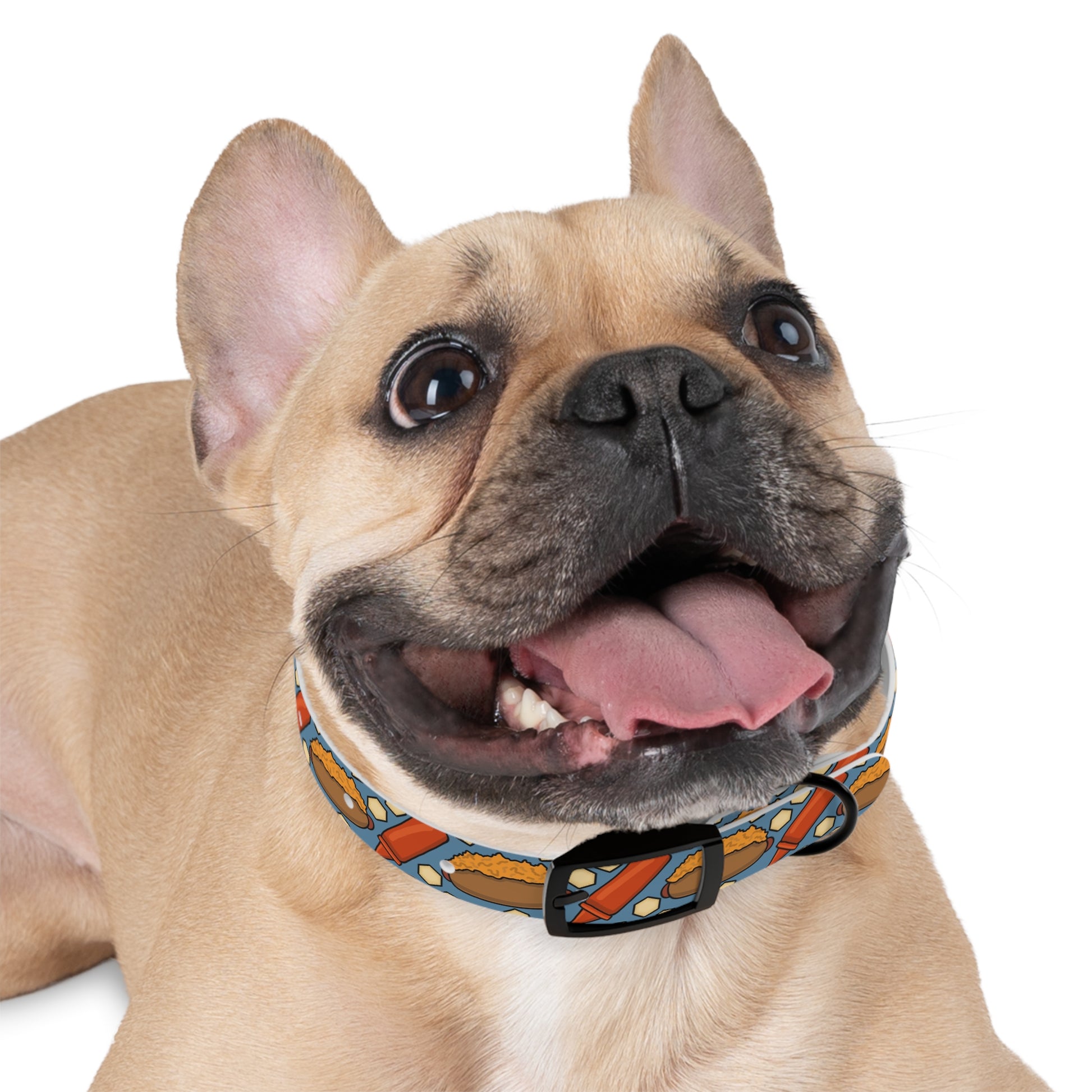 Cincy Chili Dog Collar