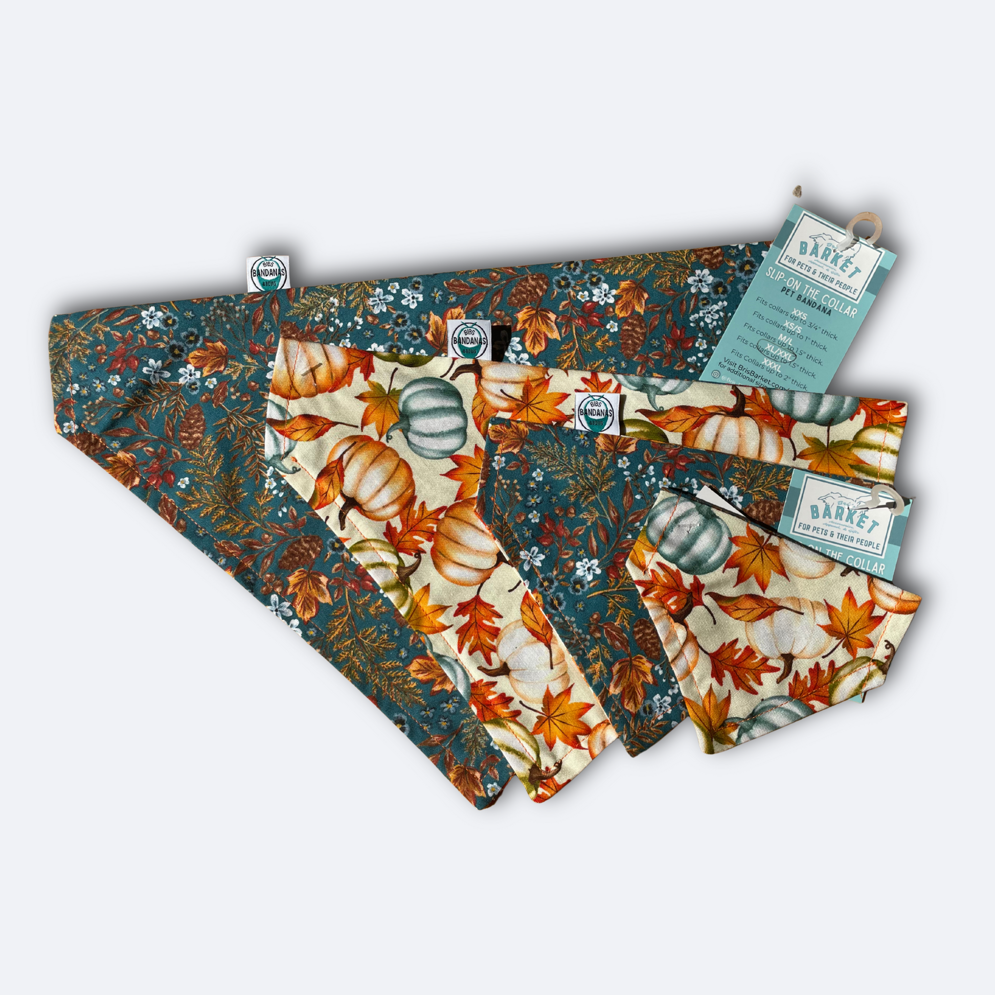 Teal Autumn Floral & Pumpkins Bandana