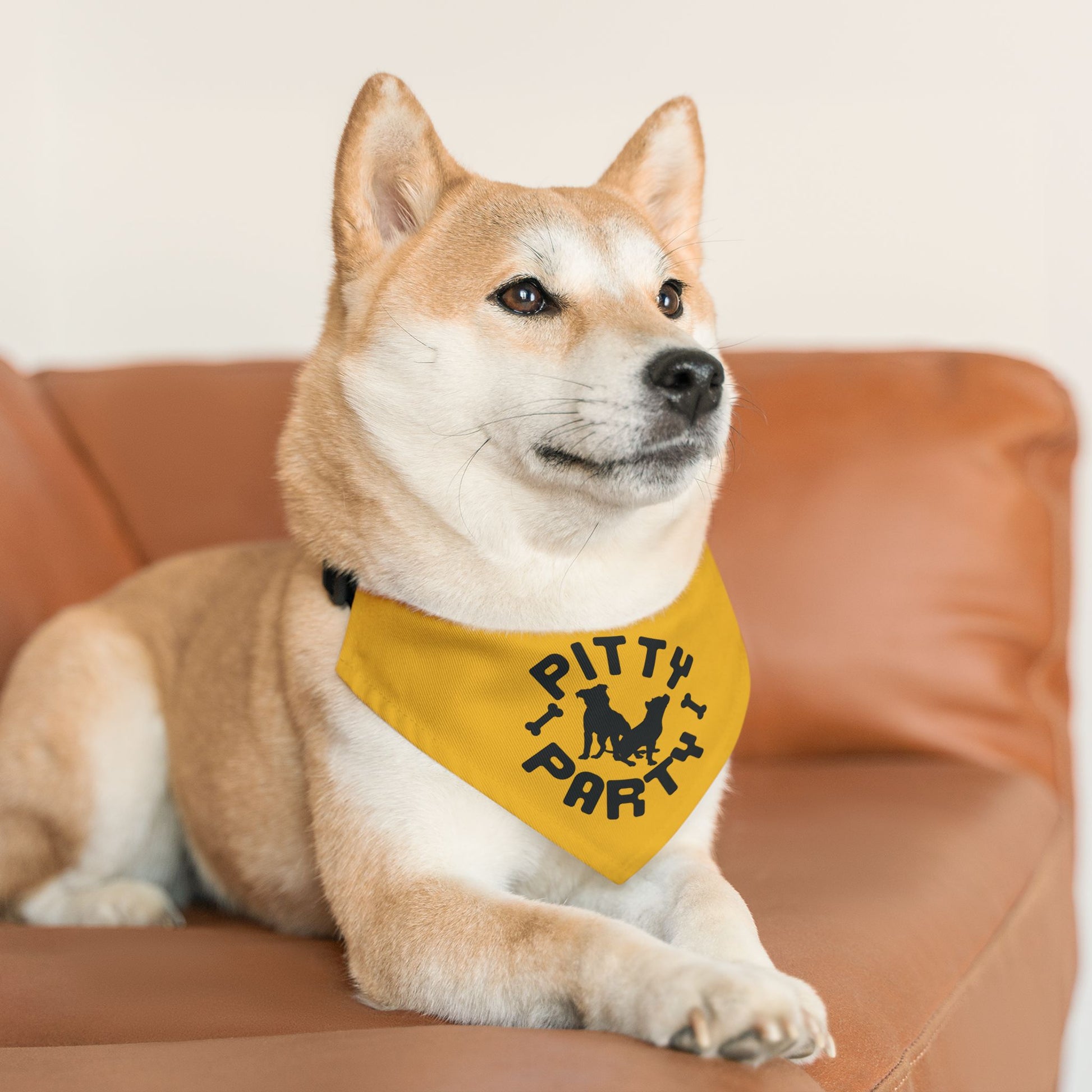 Pitty Party Pet Collar Bandana