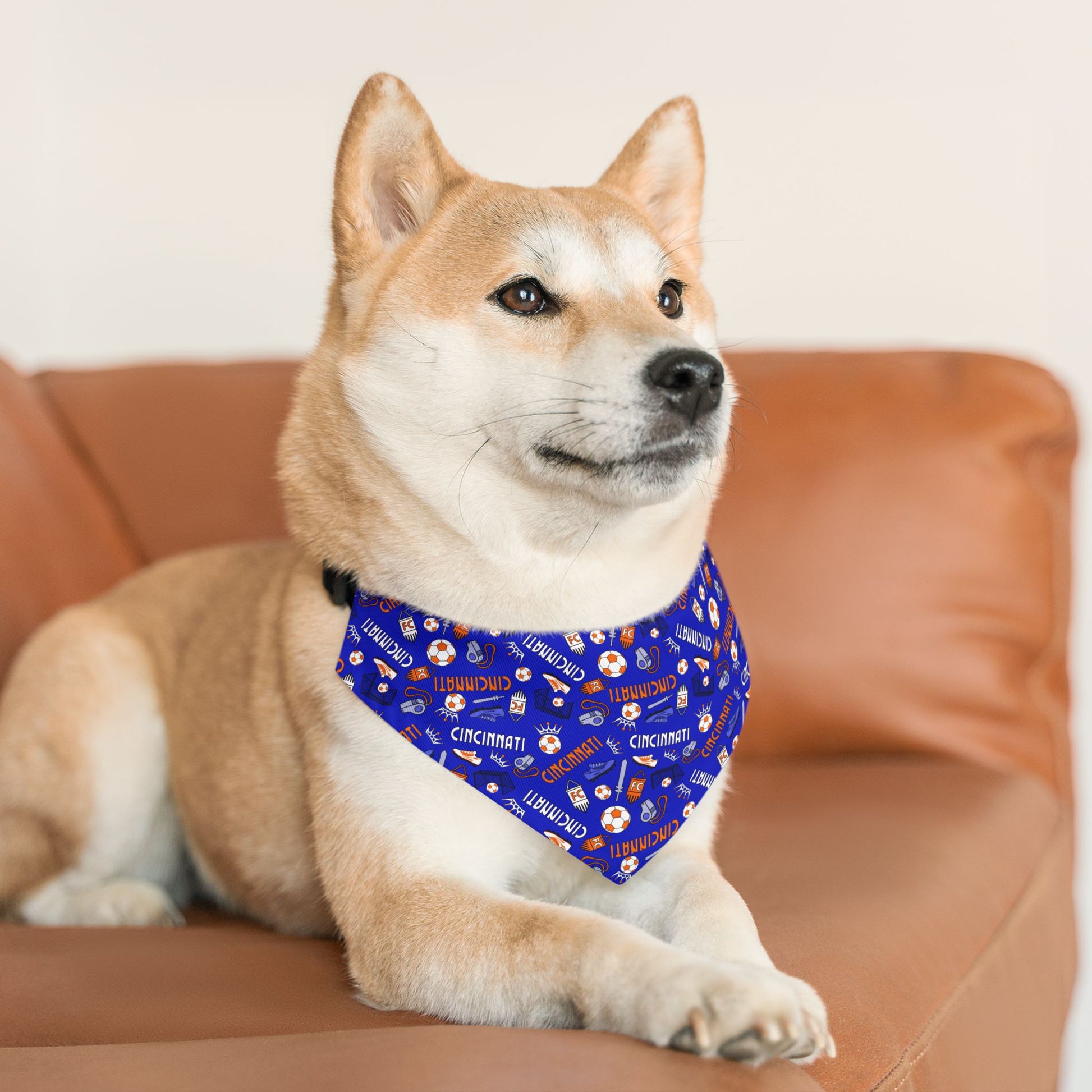 Dog Collar Bandana - Cincinnati Soccer Design