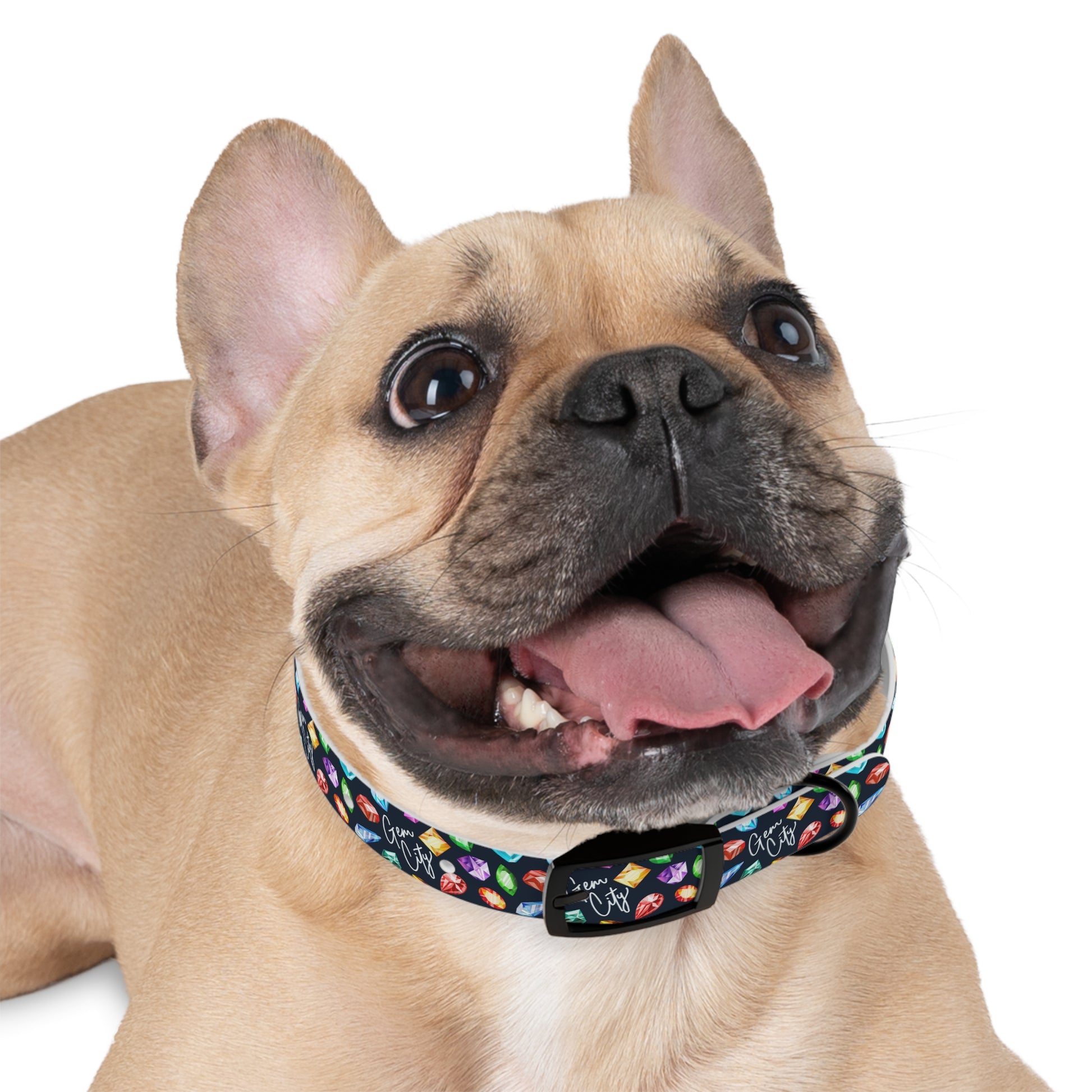 Gem City Dog Collar