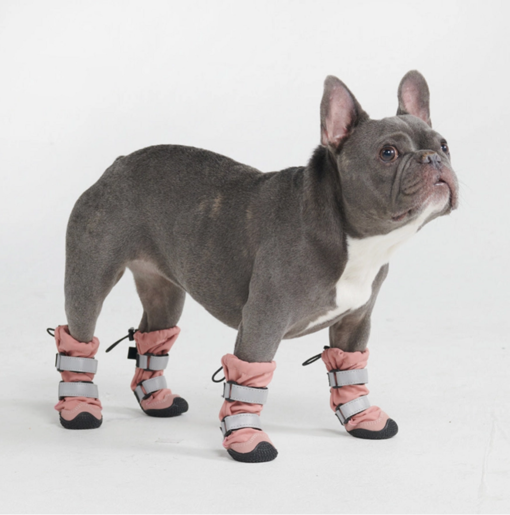 Flex Shell Water-Resistant Dog Boots