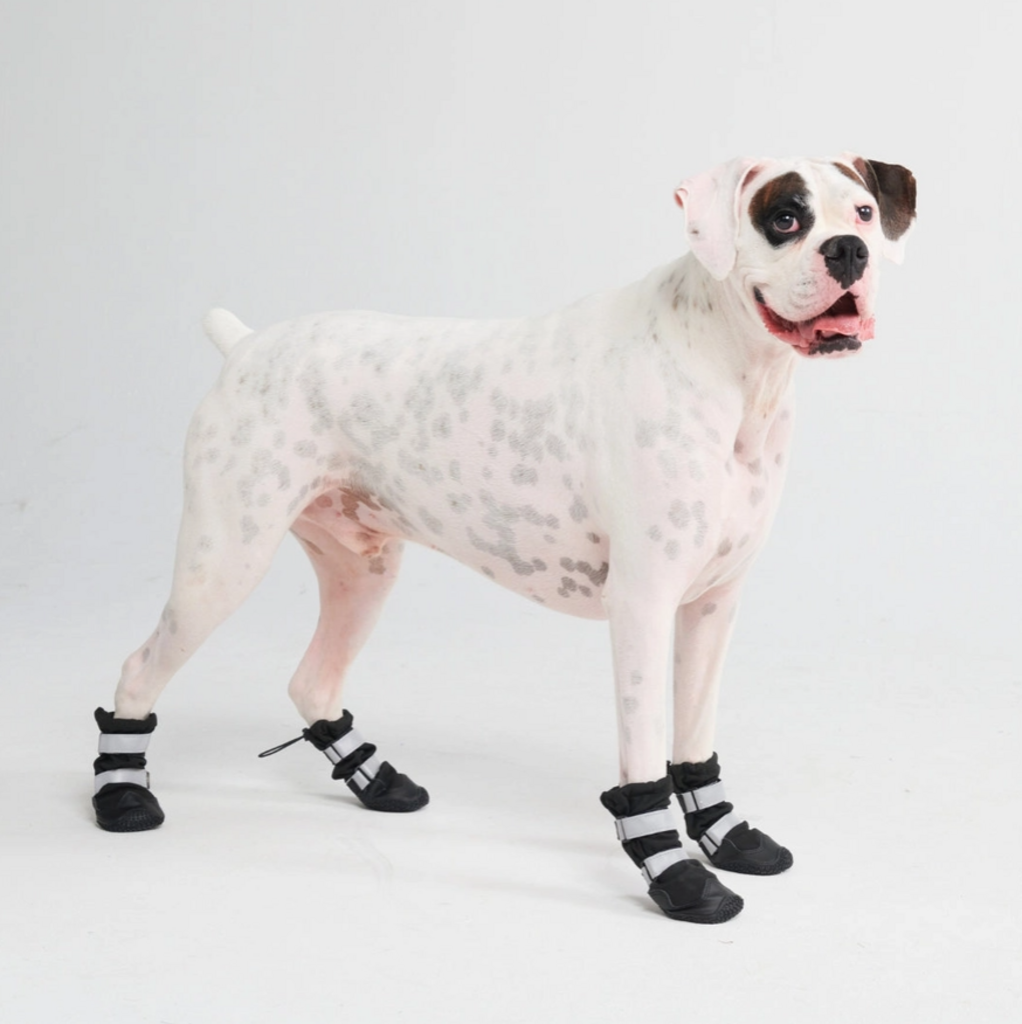 Flex Shell Water-Resistant Dog Boots