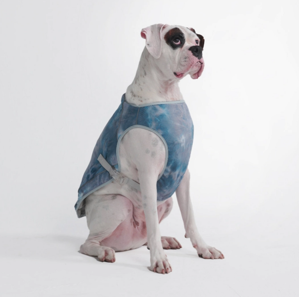 Ice Blue Dog Cooling Vest