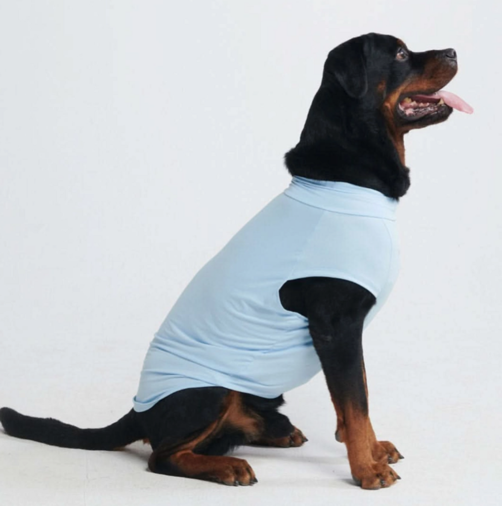 Blue Sunblock Dog Shirt