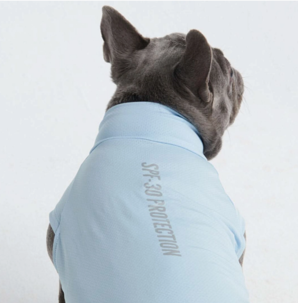 Blue Sunblock Dog Shirt
