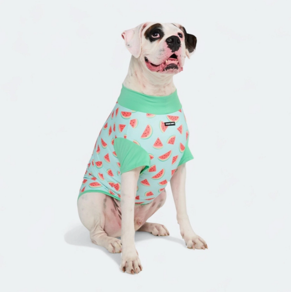 Watermelon Sunblock Dog Shirt