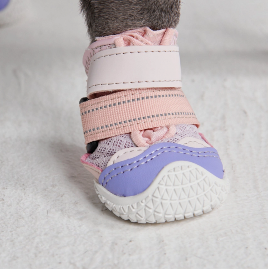 Pink & Purple Hot Pavement Pawtector Dog Shoes