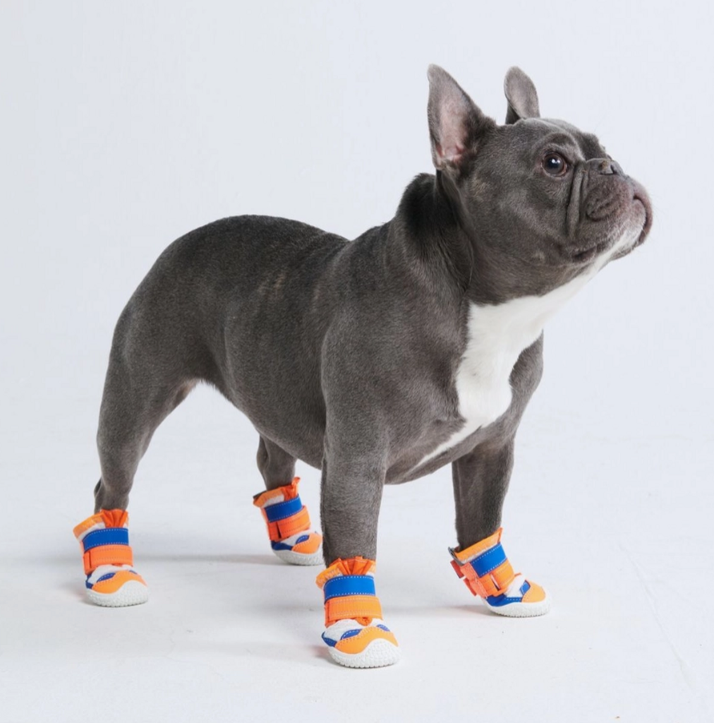 Hot Pavement Pawtector Dog Shoes