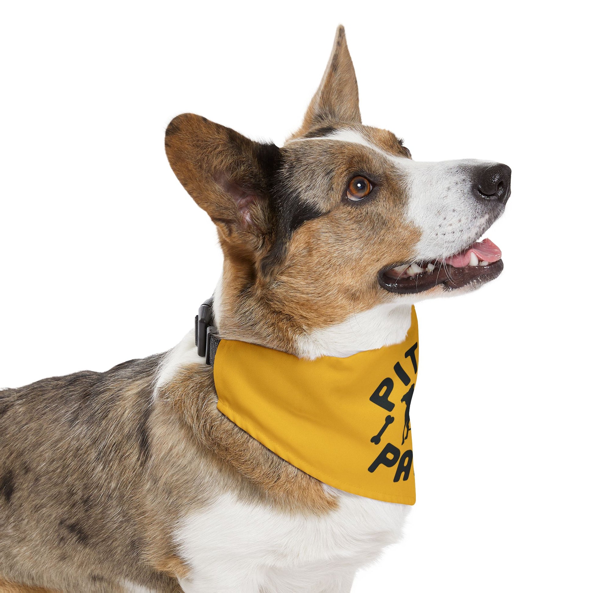 Pitty Party Pet Collar Bandana