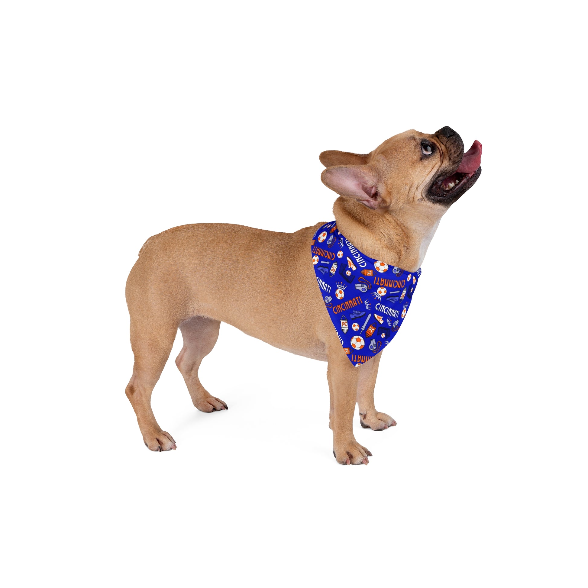 Tie-on Dog Bandana - Cincinnati Soccer Design