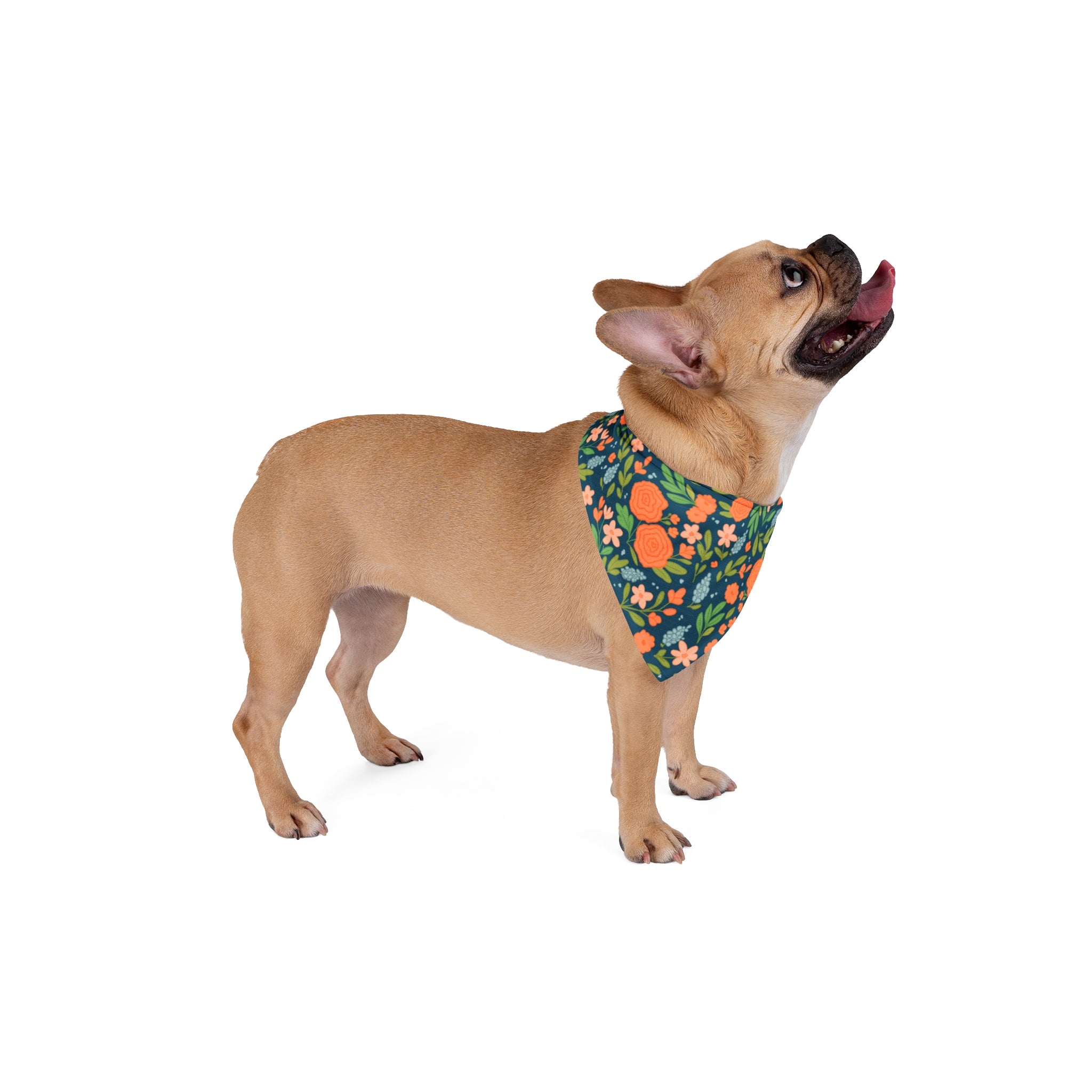 Vibrant Floral Pet Bandana - Trendy Dog Accessory for Every Occasion, Pet Gift, Spring Fashion, Adjustable Headband Look, Pet Scarf