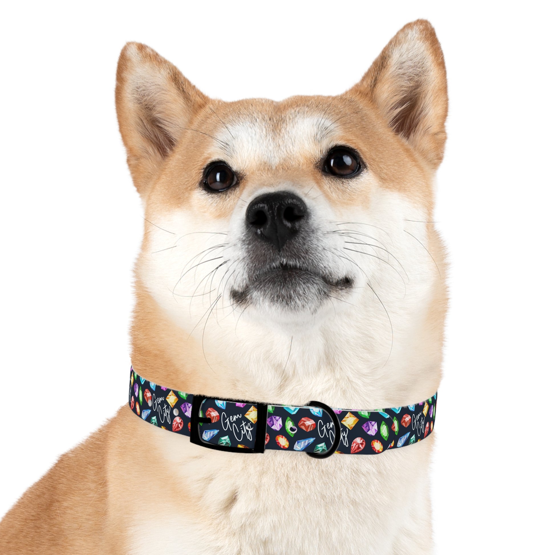 Gem City Dog Collar