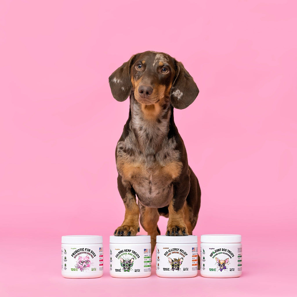 Multivitamin Chews w/Glucosamine Chondroitin, Probiotics Digestive Enzymes and Omegas
