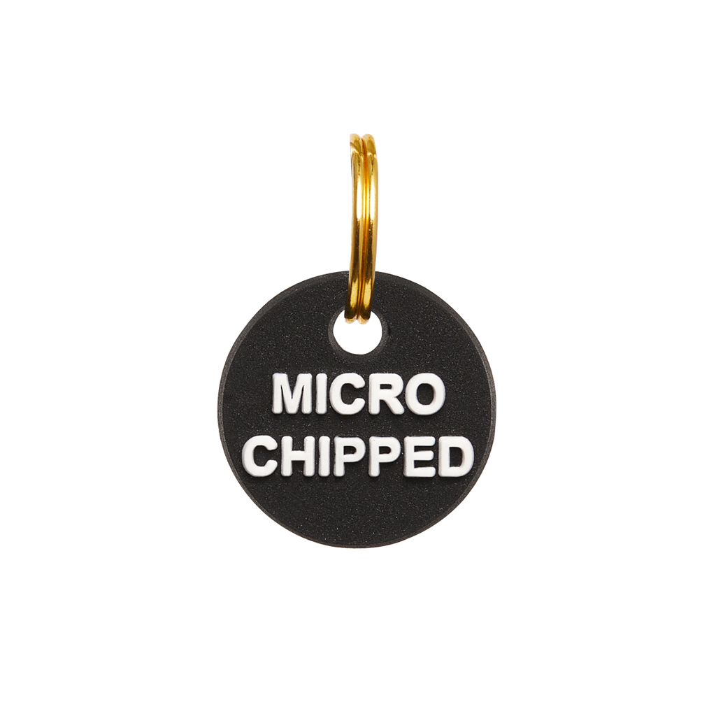 Microchipped Mini Charm