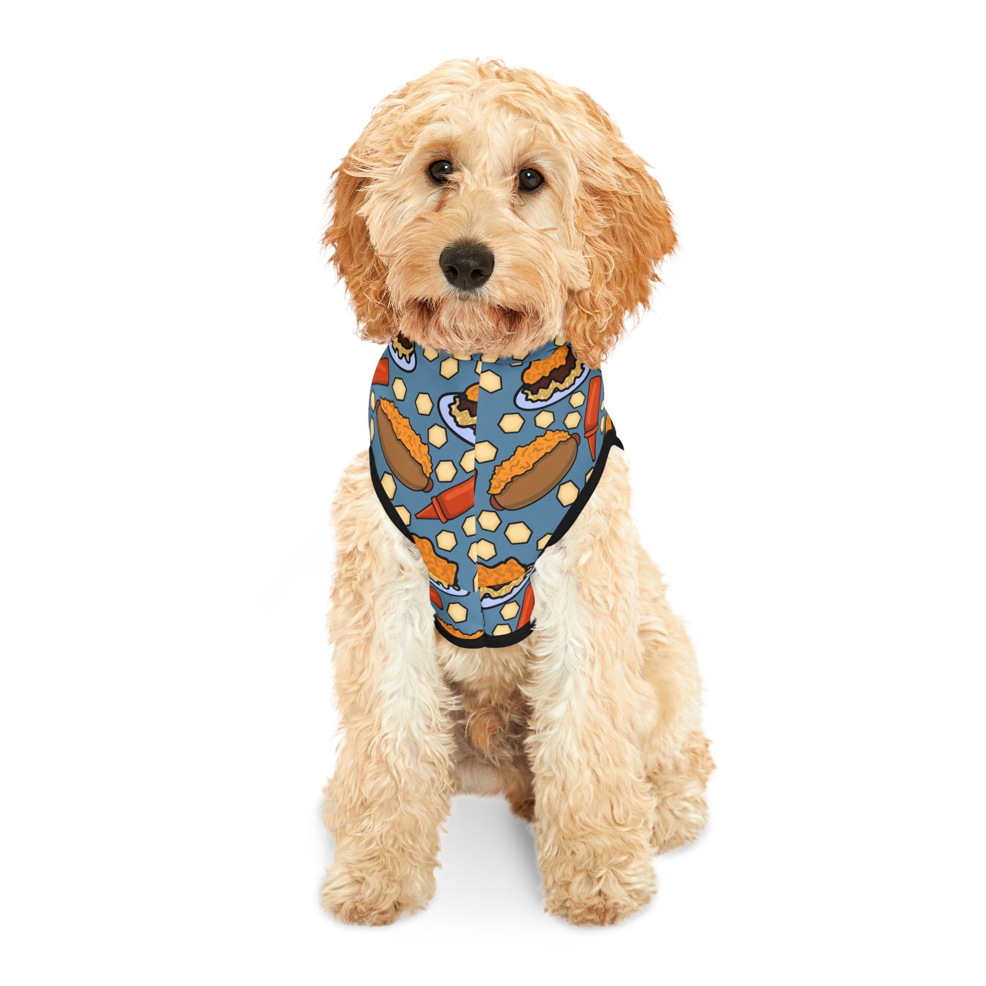Cincy Chili Pet Hoodie