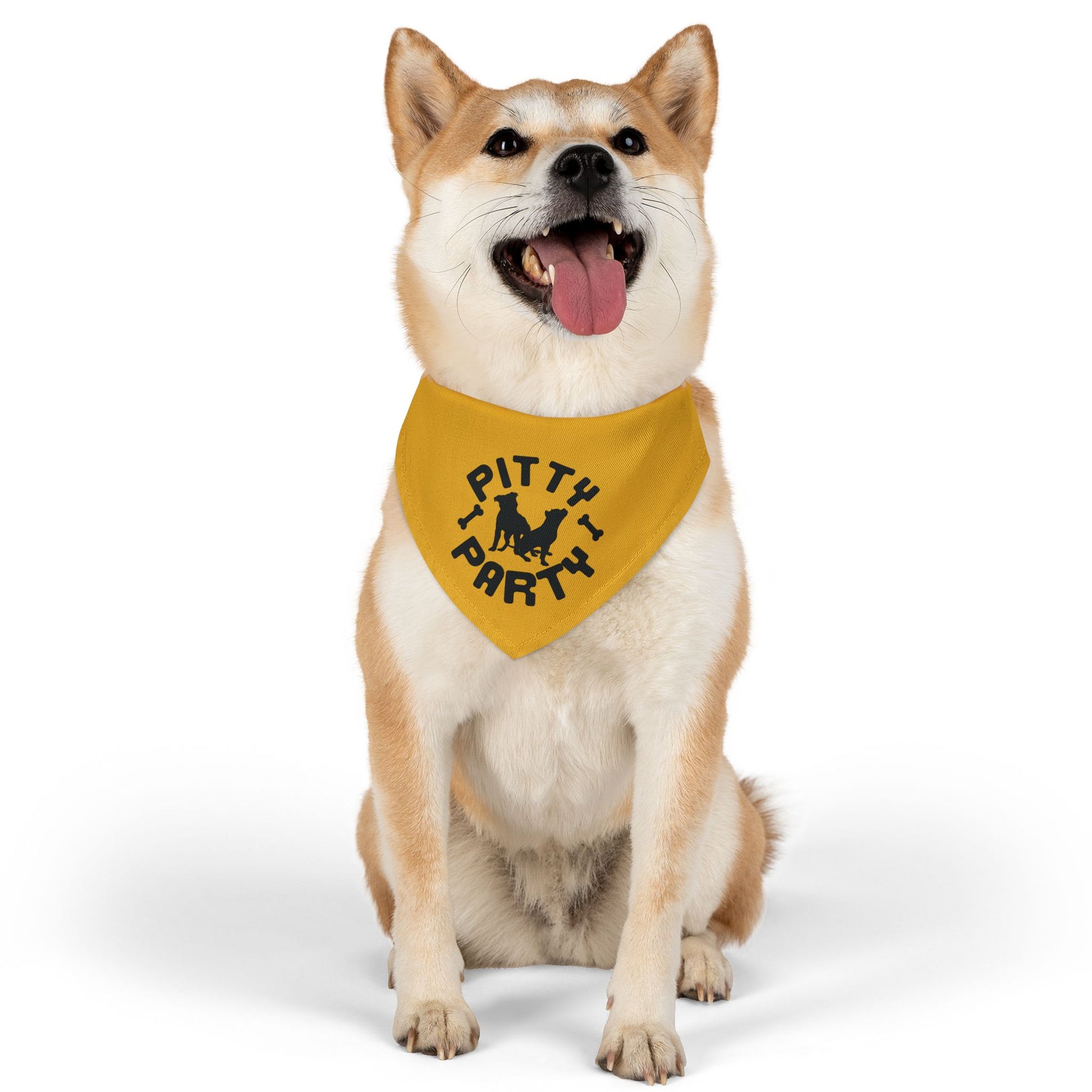 Pitty Party Pet Collar Bandana