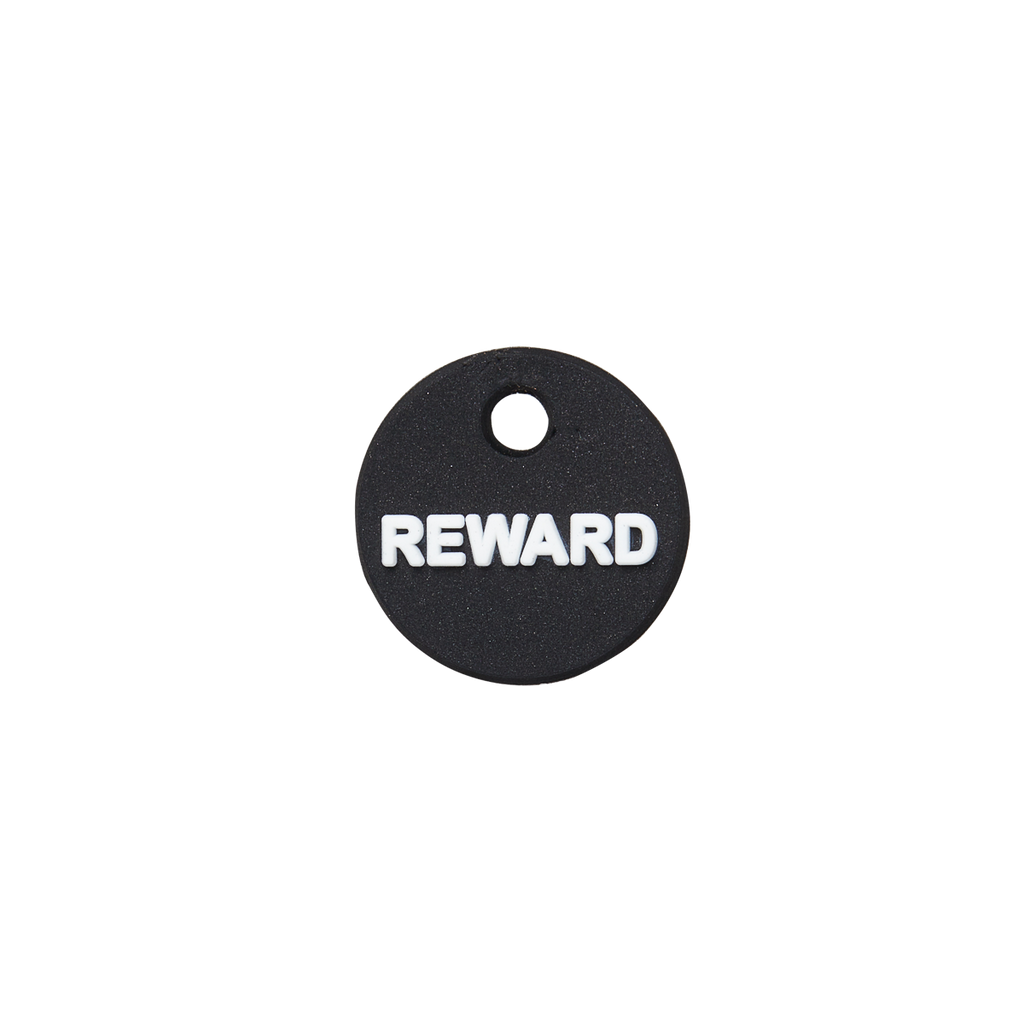 Reward Mini Charm