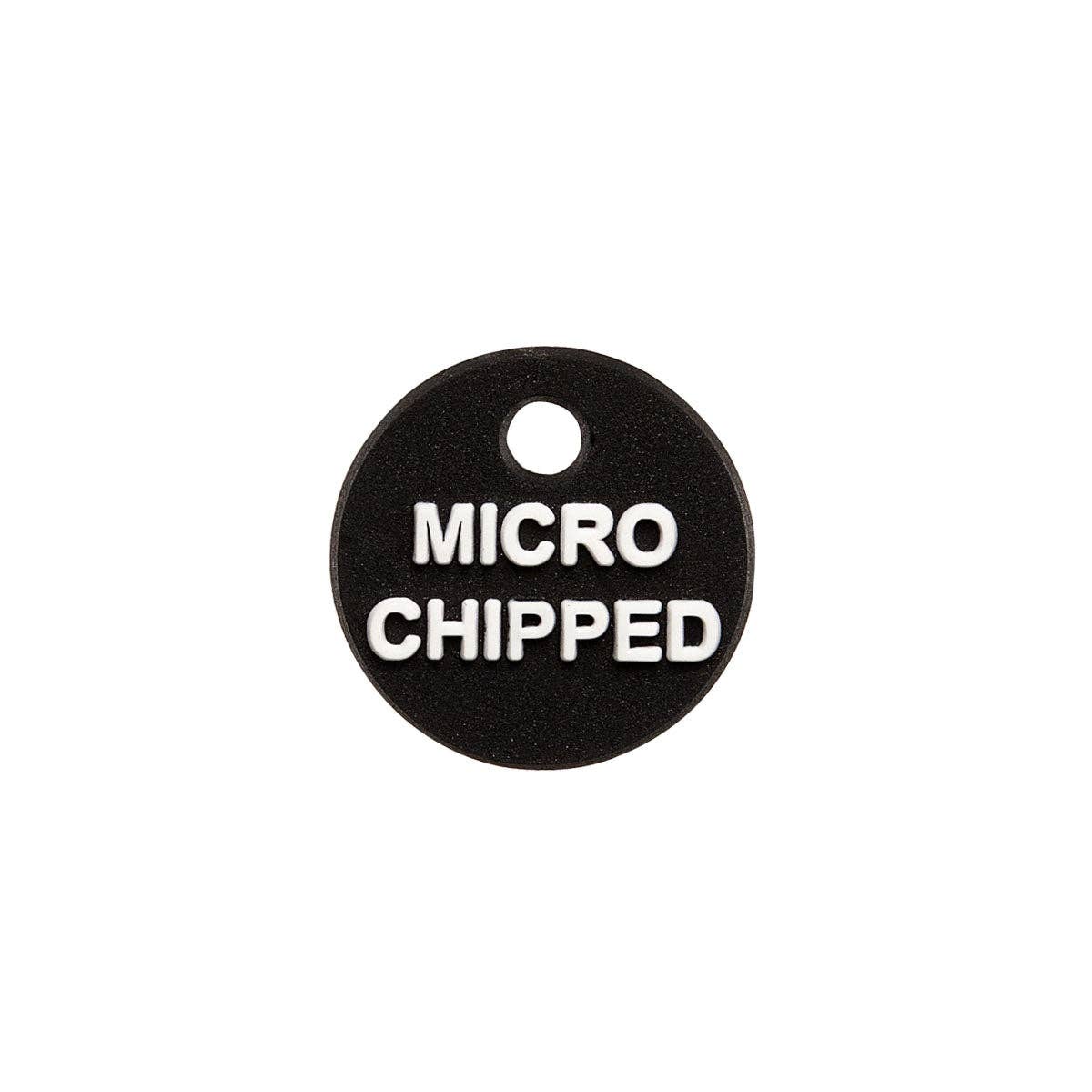 Microchipped Mini Charm